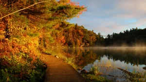 New England Summer Park Lake Wallpaper