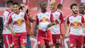 New York Red Bulls Facing The Crowd Wallpaper