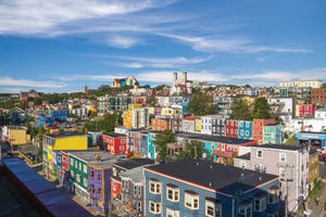 Newfoundland's Daytime Scene Wallpaper