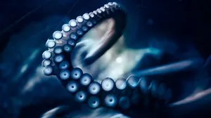 Nighttime Blue Octopus Wallpaper