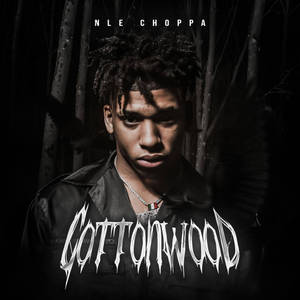 Nle Choppa Cottonwood Wallpaper