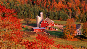 Northern Vermont In Autumn Wallpaper