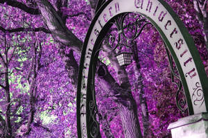 Northwestern University Arch Wallpaper