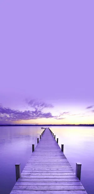Note 8 Purple Scenery Wallpaper