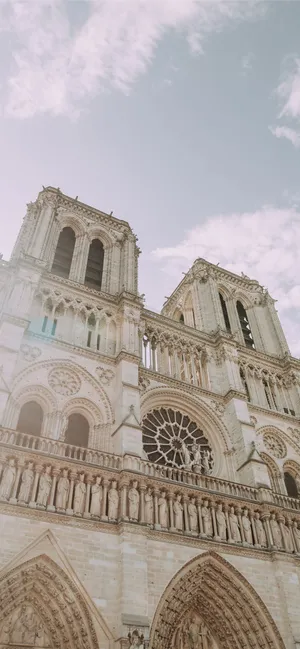 Notre Dame Cathedral Front Architecture Wallpaper