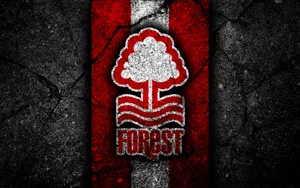 Nottingham Forest Fc Road Wallpaper