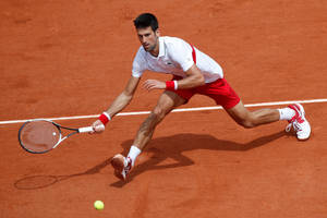 Novak Djokovic French Open Highlights Wallpaper