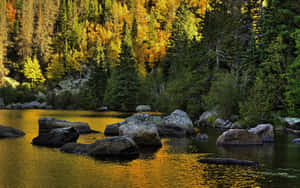 November Fall Forest River Wallpaper