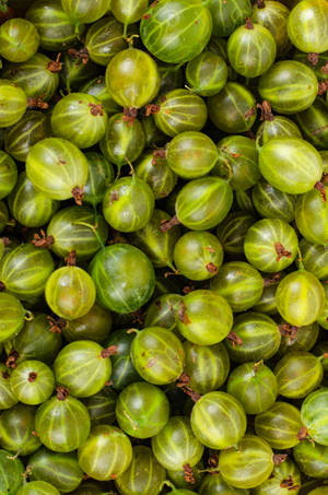 Nutritious Amla Gooseberries - A Source Of Natural Goodness Wallpaper