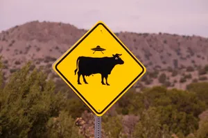 Odd Road Sign [wallpaper] Wallpaper
