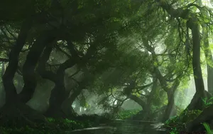 Oddly Shaped Forest Background Wallpaper