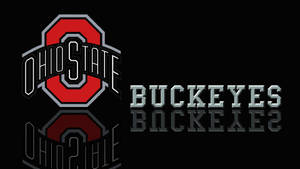 Ohio State Buckeyes Poster Wallpaper