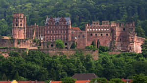 Old But Stunning Heidelberg Castle Wallpaper