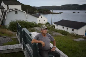 Old Man Looking At Newfoundland's Beauty Wallpaper