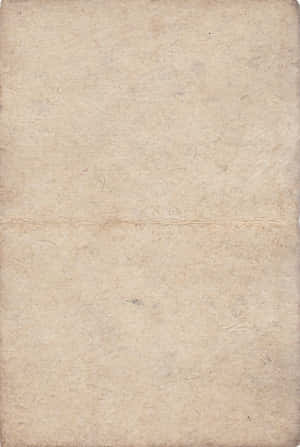Old Paper Texture Light Gray Parchment Wallpaper