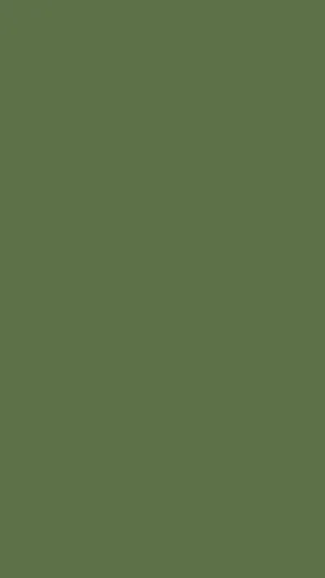 Olive Green Solid Color Phone Wallpaper
