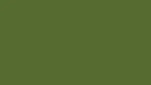 Olive Greenaesthetic Desktop Plain Wallpaper