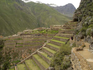 Ollantaytambo Engineering Marvel Wallpaper
