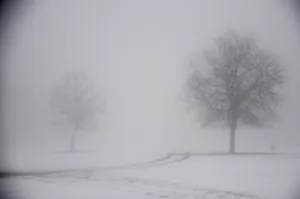 Ominous Foggy Snow-covered Landscape Wallpaper