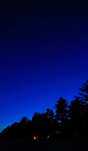 Oneplus 7 Pro Evening Lights Wallpaper