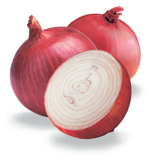Onions In A Row Ready To Eat Wallpaper