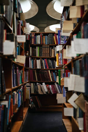 Opened Books From Bookshelve Wallpaper