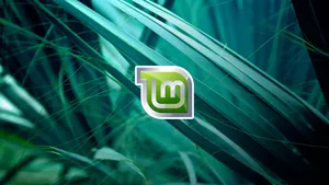 Operating System Linux Mint Logo On Plant Leaves Wallpaper