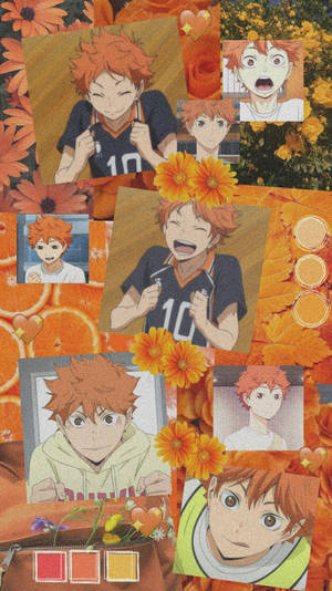 Orange Aesthetic Hinata Collage Wallpaper