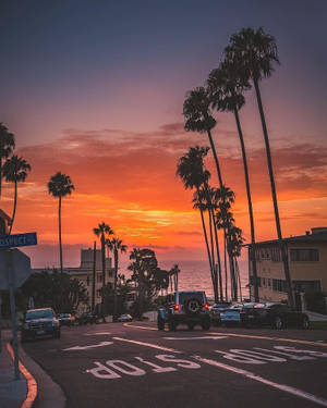 Orange Sunset Boulevard Wallpaper