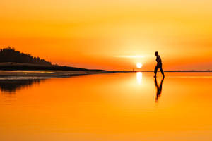 Orange Sunset On The Beach Wallpaper