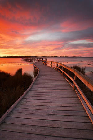 Orange Sunset Over Lake Dock Portrait Wallpaper