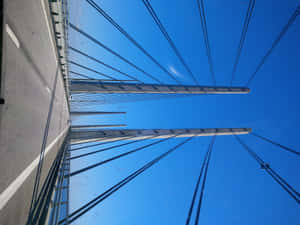 Oresund Bridge Steel Wire Wallpaper