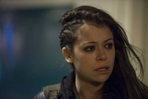 Orphan Black Main Actress Tatiana Maslany Wallpaper