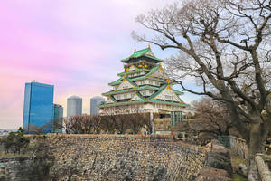 Osaka Castle Cityscape Wallpaper