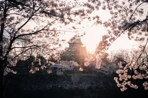 Osaka Castle Twilight Sun Rays Wallpaper