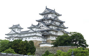 Osaka Castle White Exterior Wallpaper