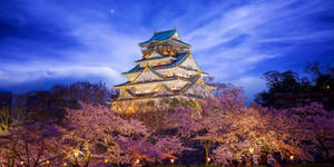Osaka Castle With Cherry Blossoms Wallpaper