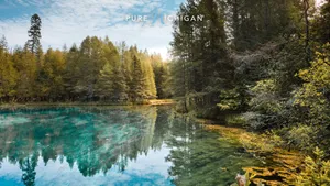 Outdoor Michigan Wallpaper