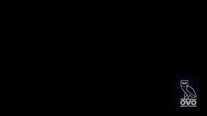 Ovoxo - Creating Lasting Connections Wallpaper