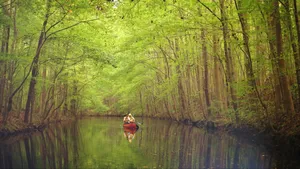 Paddling In Chesapeake's Waterways Wallpaper