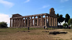 Paestum Tourists. Wallpaper
