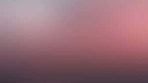 Pale Pink Gradient Background Wallpaper