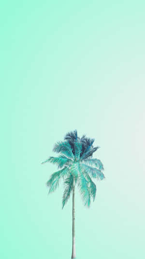 Palm Tree Cute Mint Green Aesthetic Wallpaper