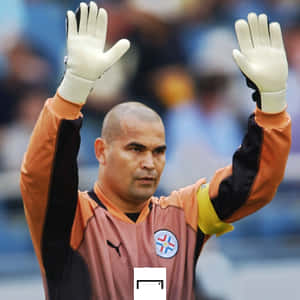 Paraguayan Football Goalkeeper Jose Luis Chilavert At 2002 World Cup Wallpaper