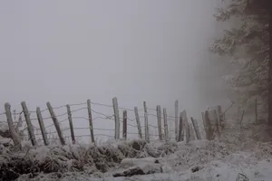 Paranormal Foggy Winter Field Wallpaper