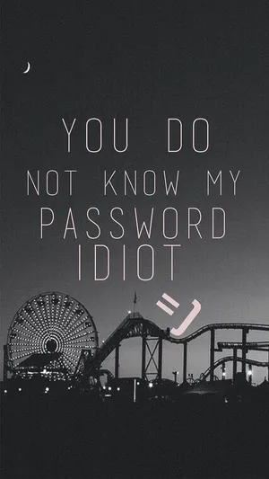 Password Idiot Amusement Park Silhouette Wallpaper