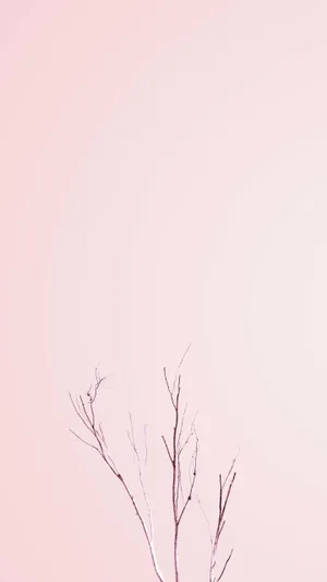 Pastel Phone Minimalist Stems Wallpaper