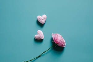 Pastel Pink Heart Shapes With Rose Wallpaper