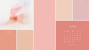 Pastel Pink Journal Wallpaper