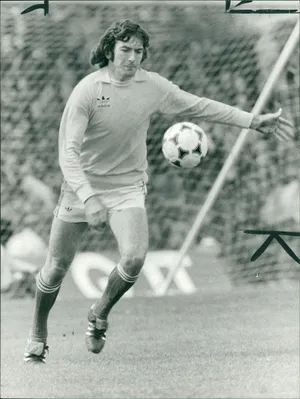 Pat Jennings In A 1979 Match Versus England Wallpaper